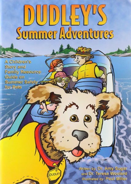 Picture of Dudley's Summer Fun Adventure Book